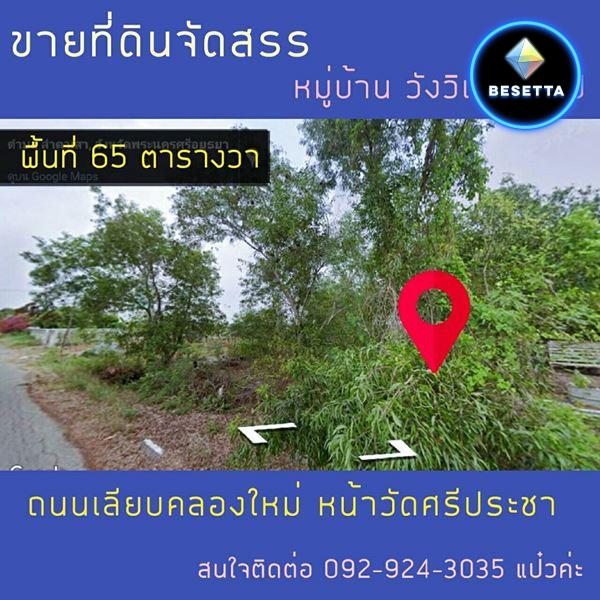 ขายที่ดินจัดสรร ลำตาเสา 65 ตร.ว. อ.วังน้อย พระนครศรีอยุธยา เหมาะสำหรับสร้างบ้าน โทร 092-924-3035